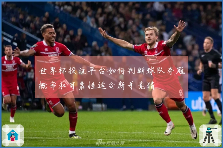 世界杯投注平台如何判断球队夺冠概率和可靠性适合新手竞猜