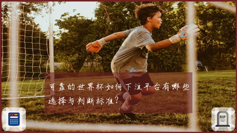 可靠的世界杯如何下注平台有哪些选择与判断标准？